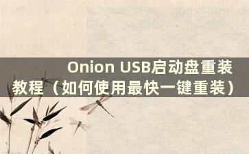 Onion USB启动盘重装教程（如何使用最快一键重装）